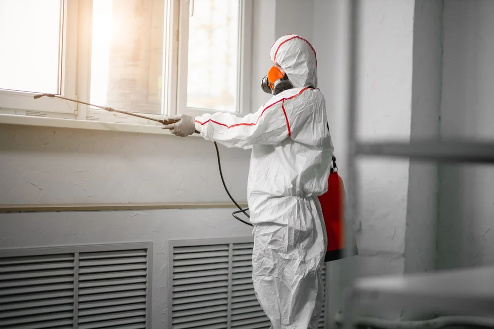 Professional mold remediation services in Loveland, CO